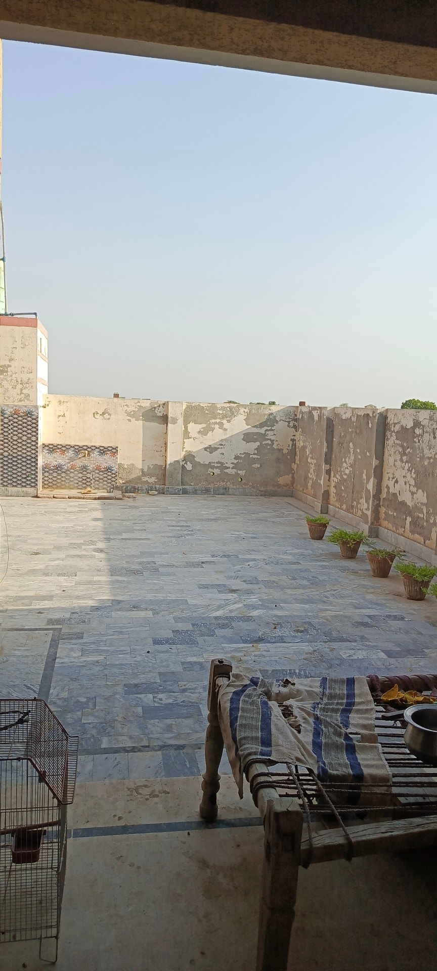 514093225_1276981817766638_740553637103002674_n