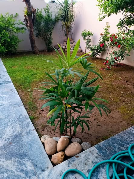 571163366_1857952021764164_8847929111255397246_n