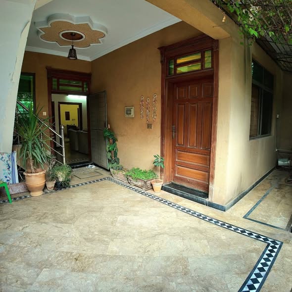 573063974_782127254828546_7702810553862458647_n