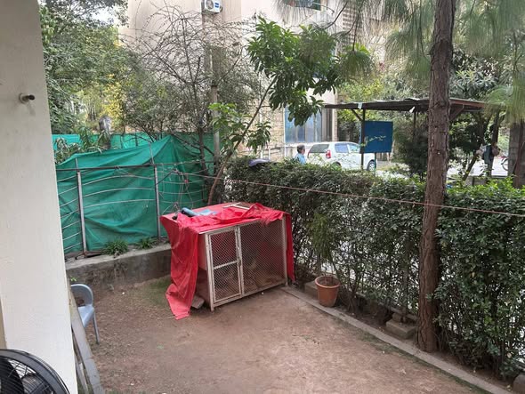 575169968_2656462494689949_2684396456664262731_n