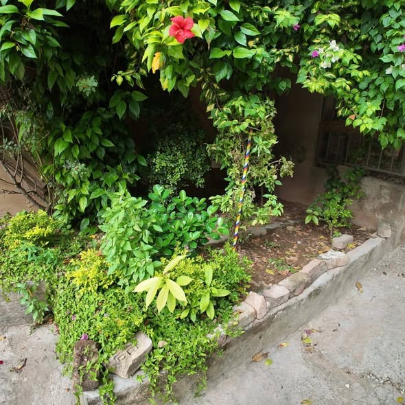 576370175_782127334828538_4113080793735289545_n