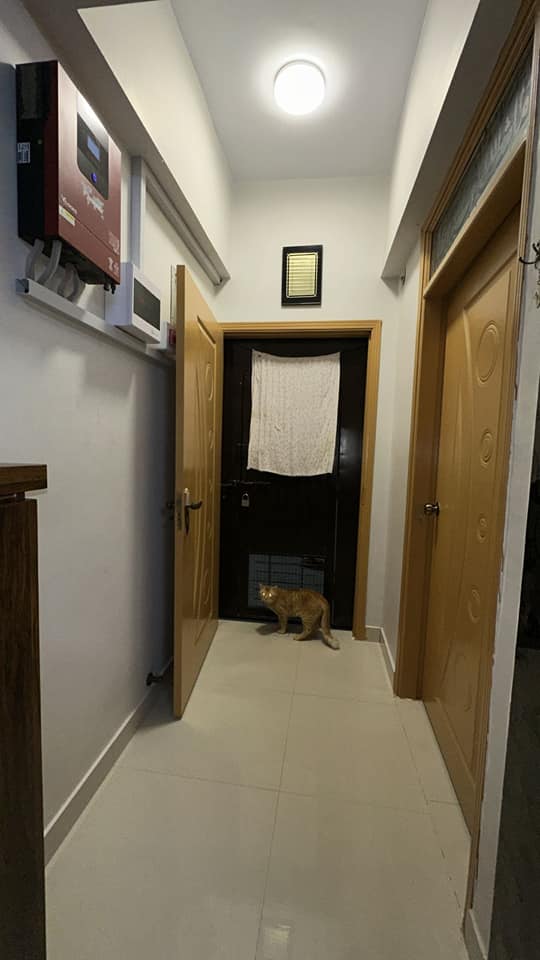 584340531_2208956702921135_261559150128114221_n