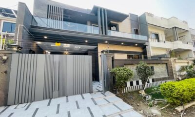 587015463_1141880991443827_2646627196837944294_n