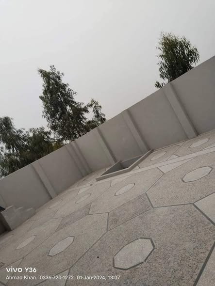 493140253_1241967107937198_3248276929404153581_n