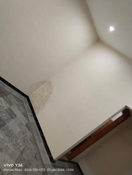 493291823_1241967114603864_7999203485788036343_n