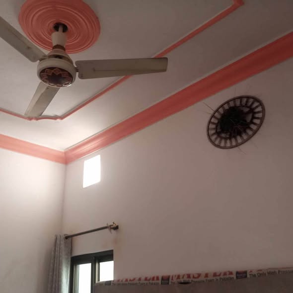 589923161_4207059242840132_1146372058411054442_n