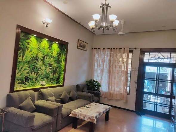 596633602_122115462915016051_7166613270553584243_n