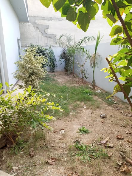 596889128_122180165366587898_8598554004376047587_n