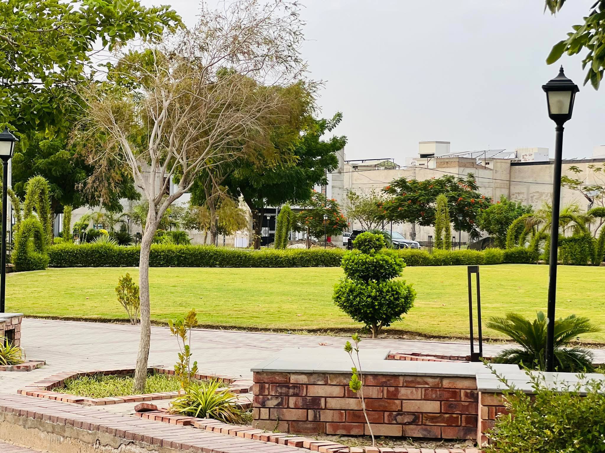 599932771_25513781008310192_1428666442541420199_n