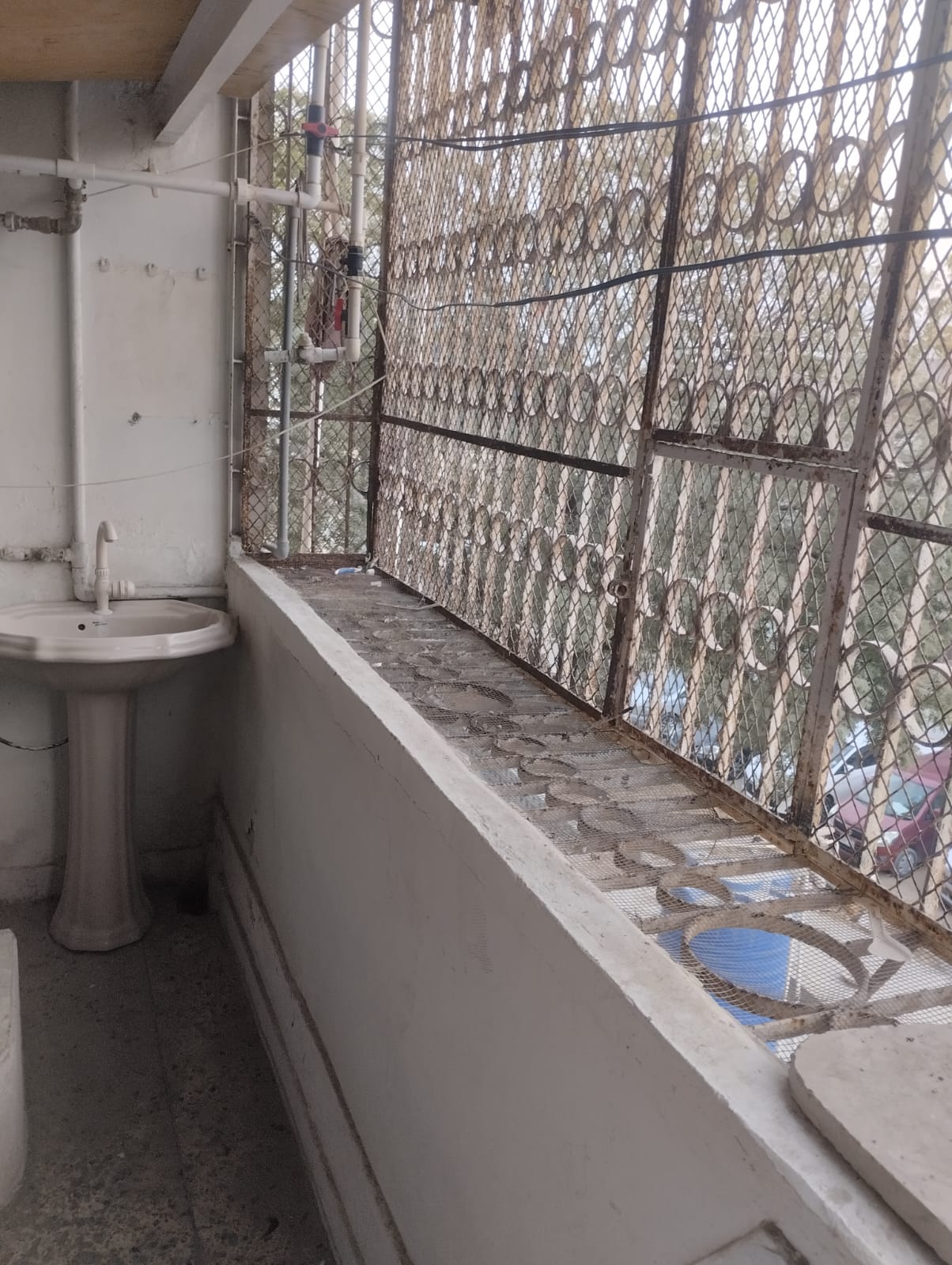 603914402_1275765201045006_6209516403664097742_n