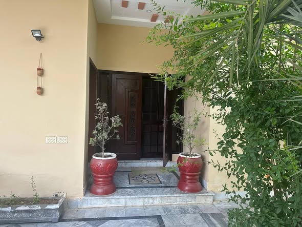 605025665_891729683338264_7287833803996903946_n