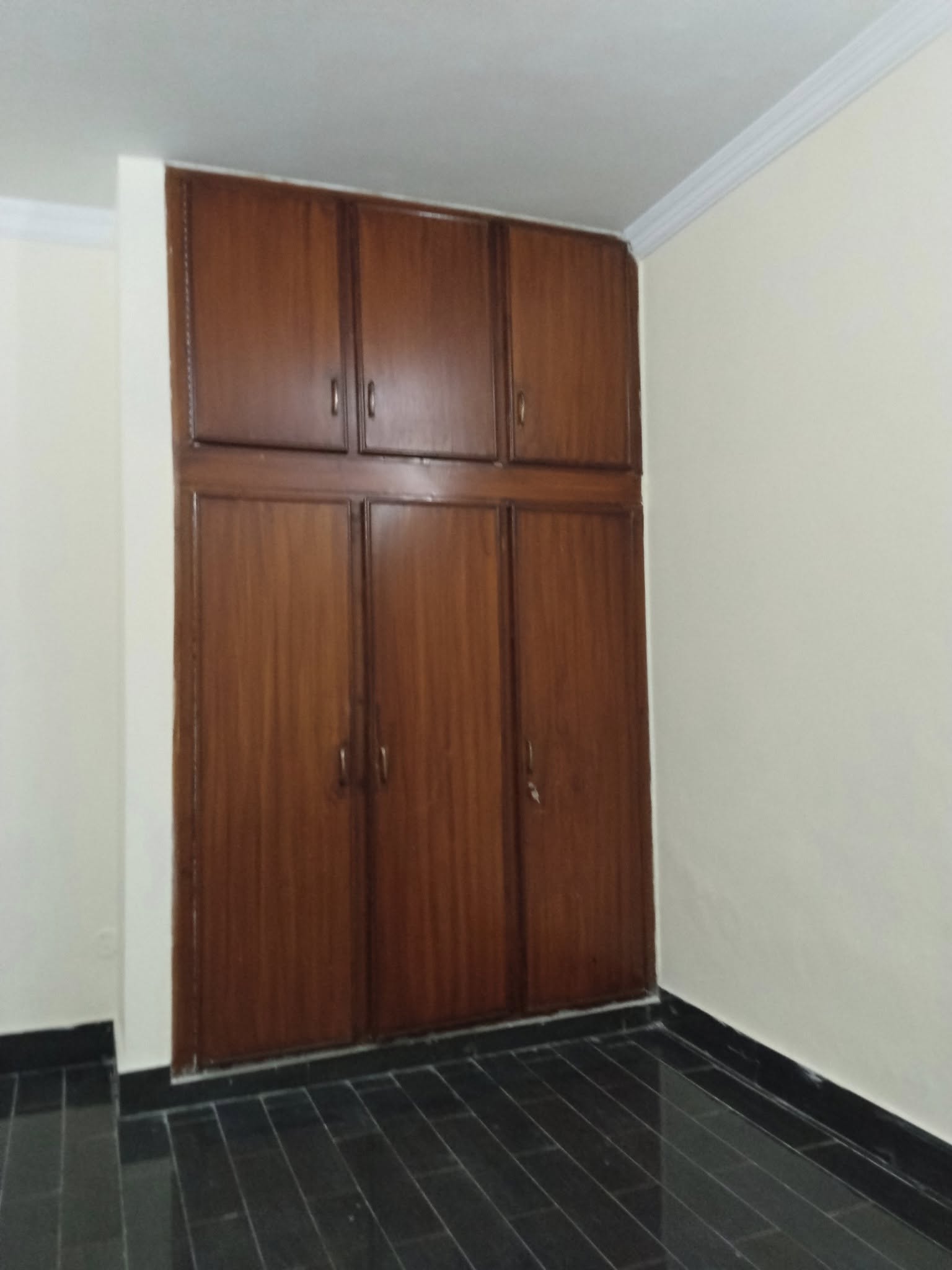 573624467_122239909574158737_452329725527480118_n