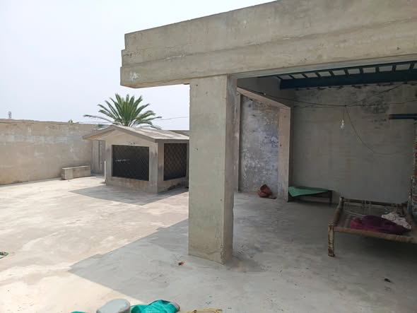 596803739_25828068300131754_2403627095868342796_n