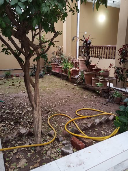 622362311_122269344956080323_2567579099300210617_n