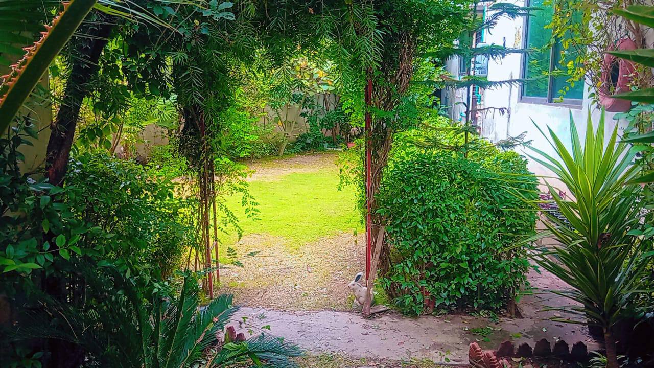 576923404_24563691079980758_1122207927950286976_n