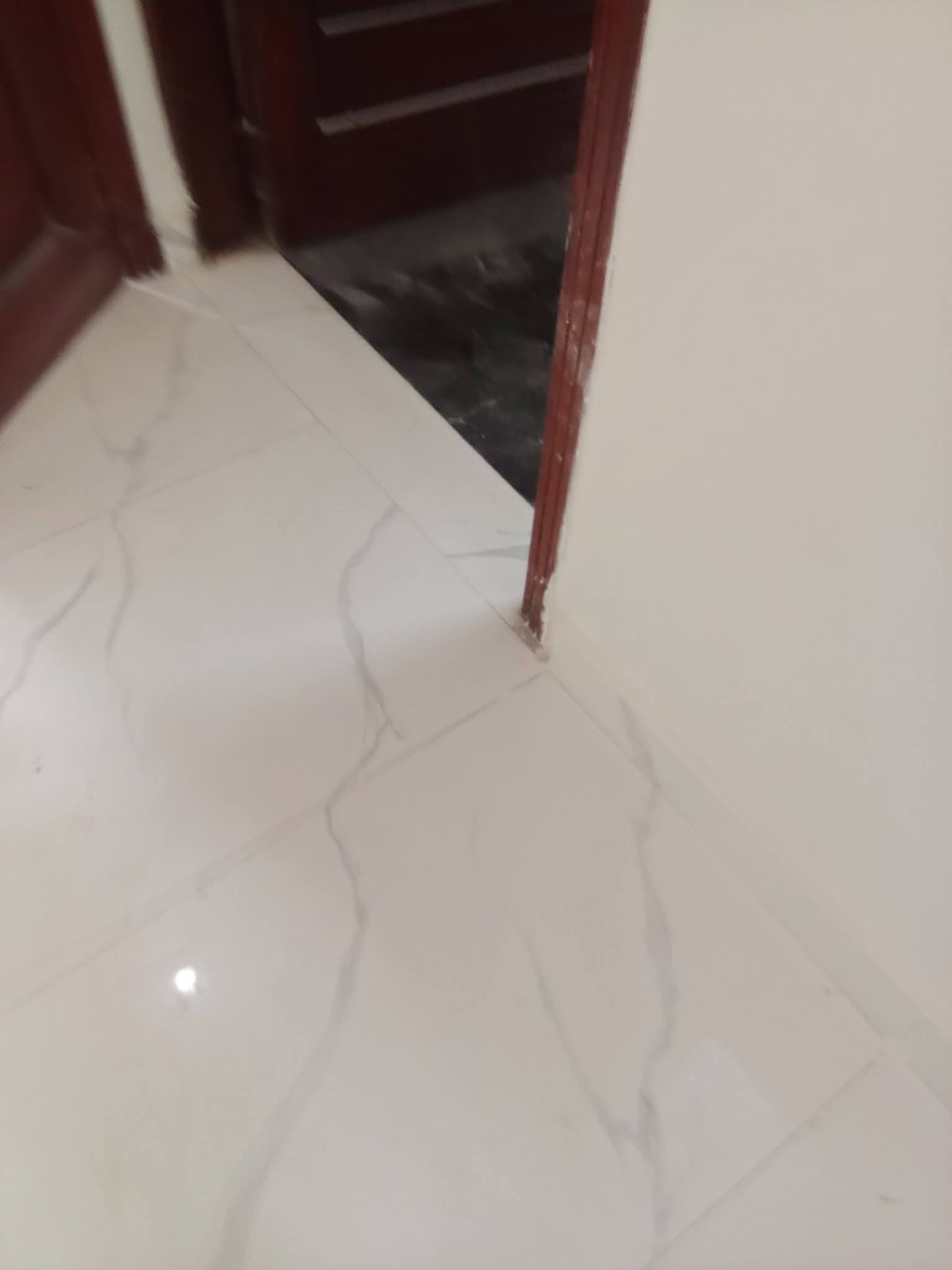 600196534_122145970598945938_565438851874545663_n