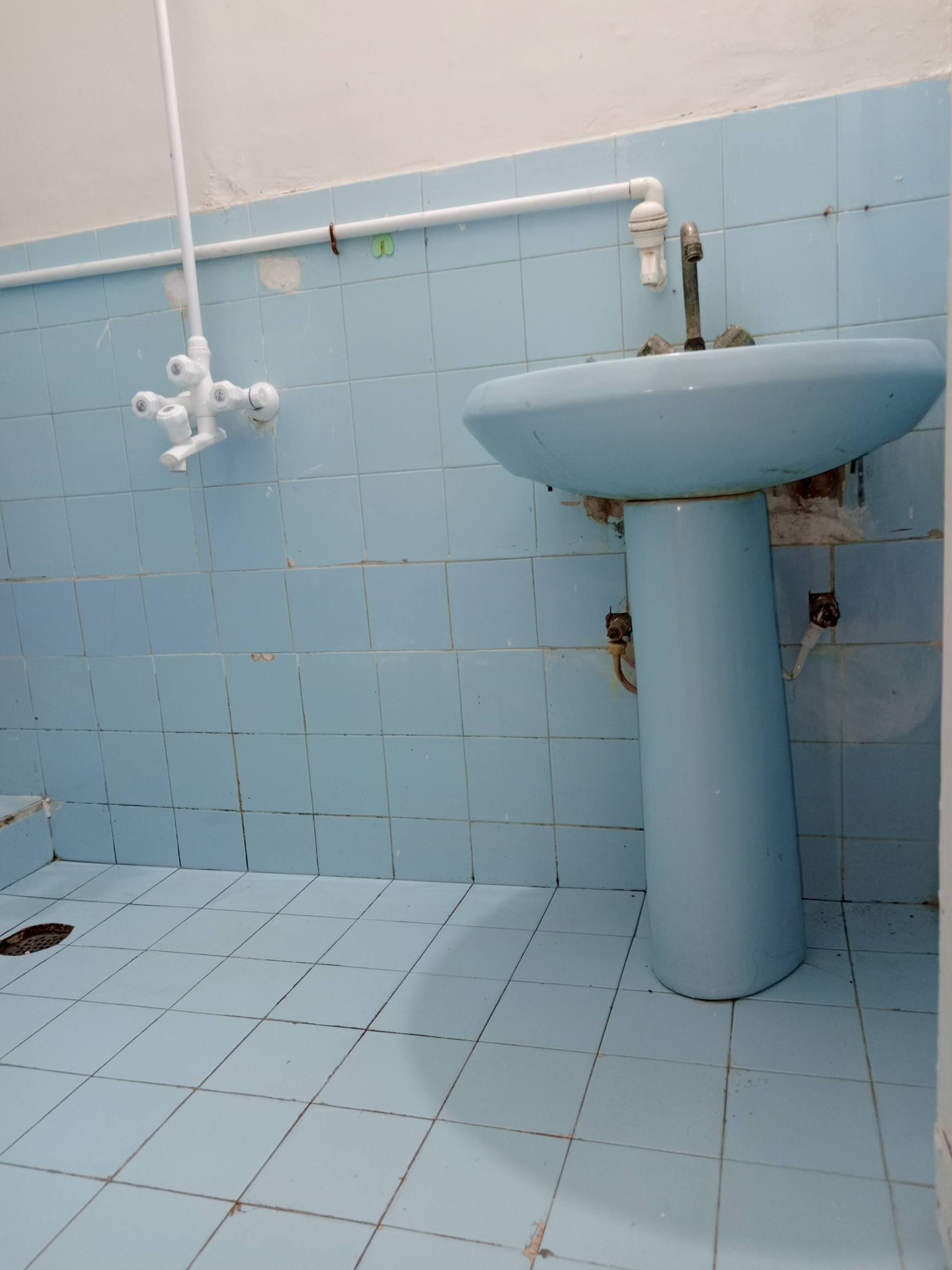 608024446_2468687546923102_8403357687824051920_n