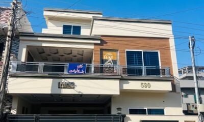 612205057_2353612705084556_3652546035041389344_n