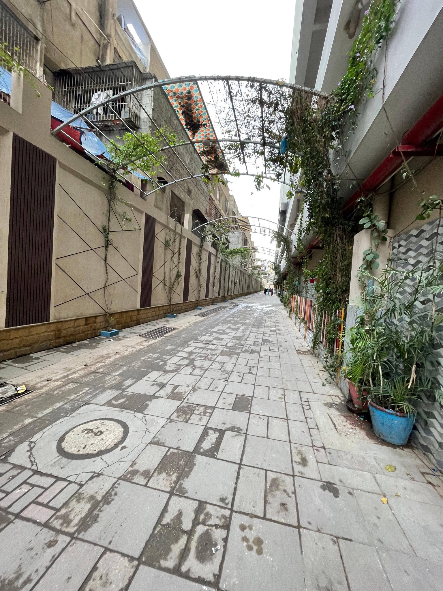 616843525_2484886468636543_6981637854967916890_n