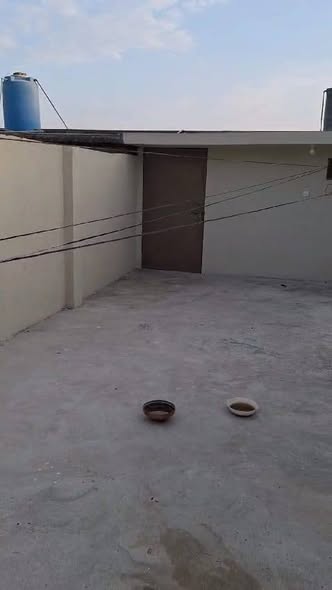 619562455_122159162960689769_1712550253699292589_n