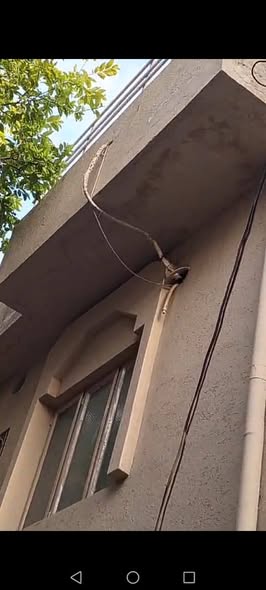 622437422_122159162852689769_4353650798173944072_n