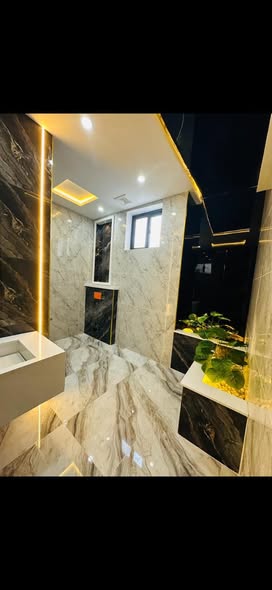 623410779_912348021474432_4639647742323361505_n