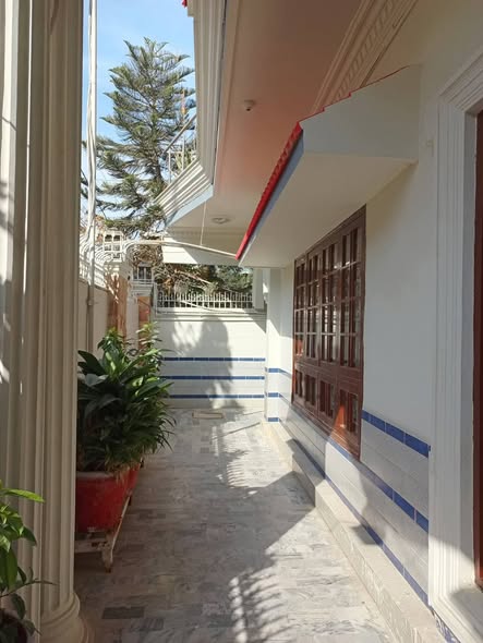 625121976_2494606257664564_3923900981561704895_n