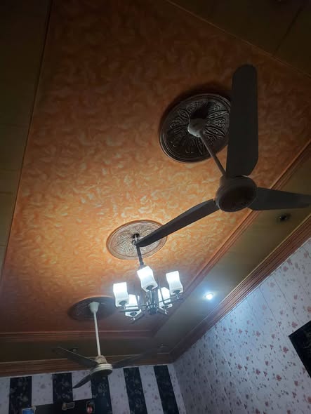 632305744_2516232612168712_5775784288797135188_n