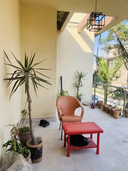 634068404_803023269486450_9134492715834445317_n