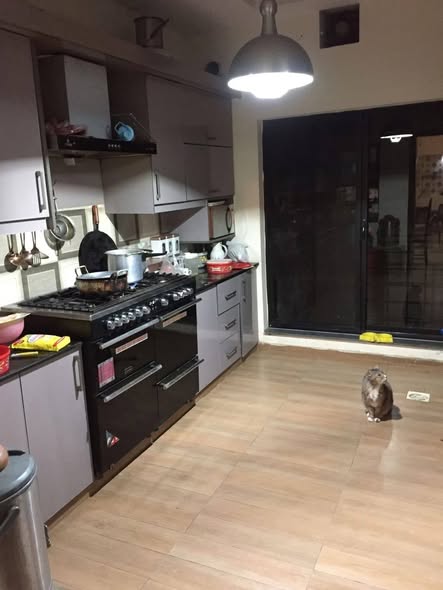 636577102_918411144033114_3404295303788028419_n