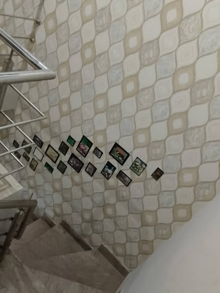 638011566_769312556231447_7475709810166510543_n