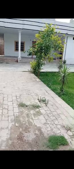 633564733_928721662987206_3194864143819783293_n