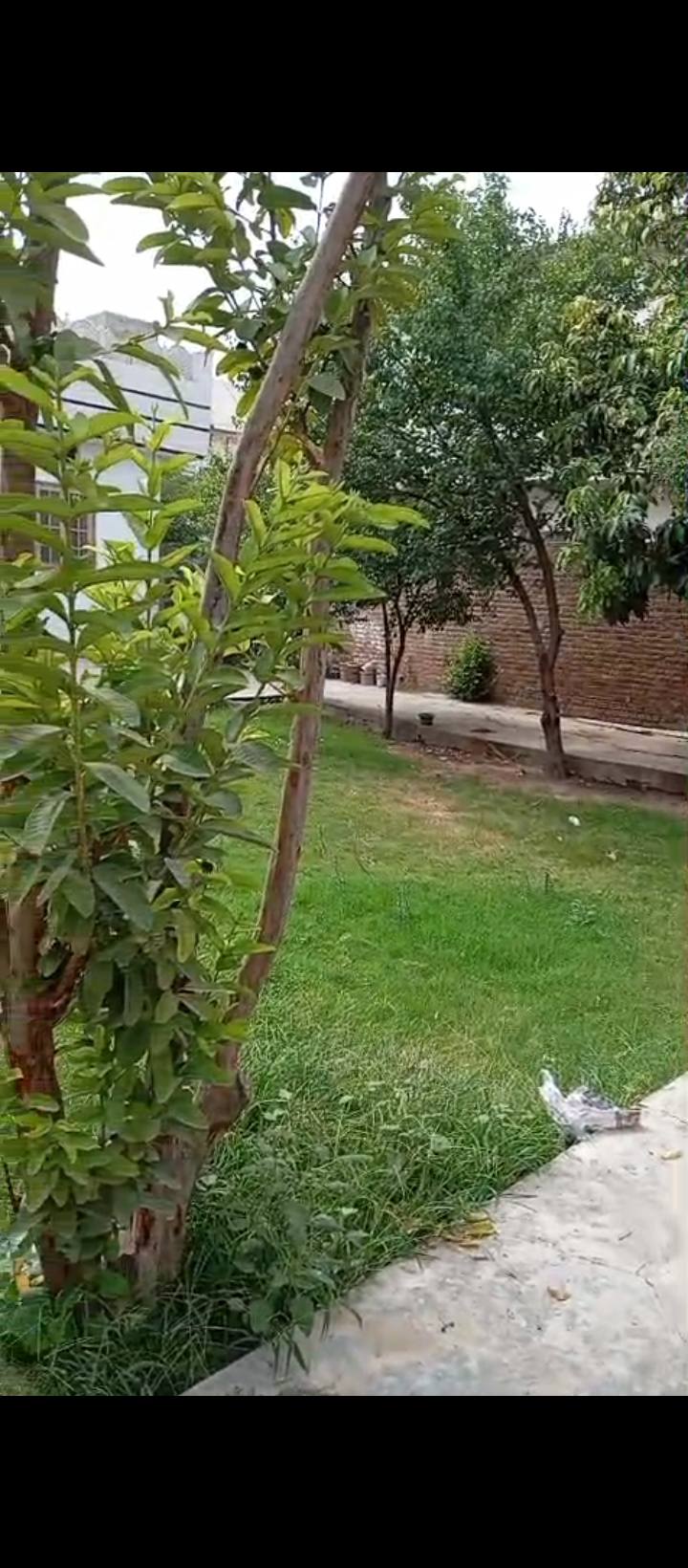 634359476_928721989653840_2152763658506981427_n