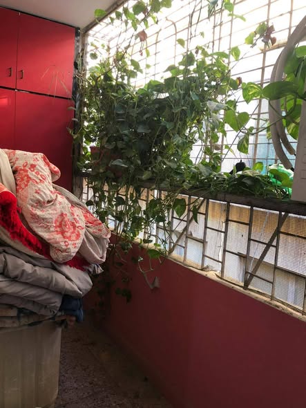 635599842_122184011522393673_4871890080875680941_n