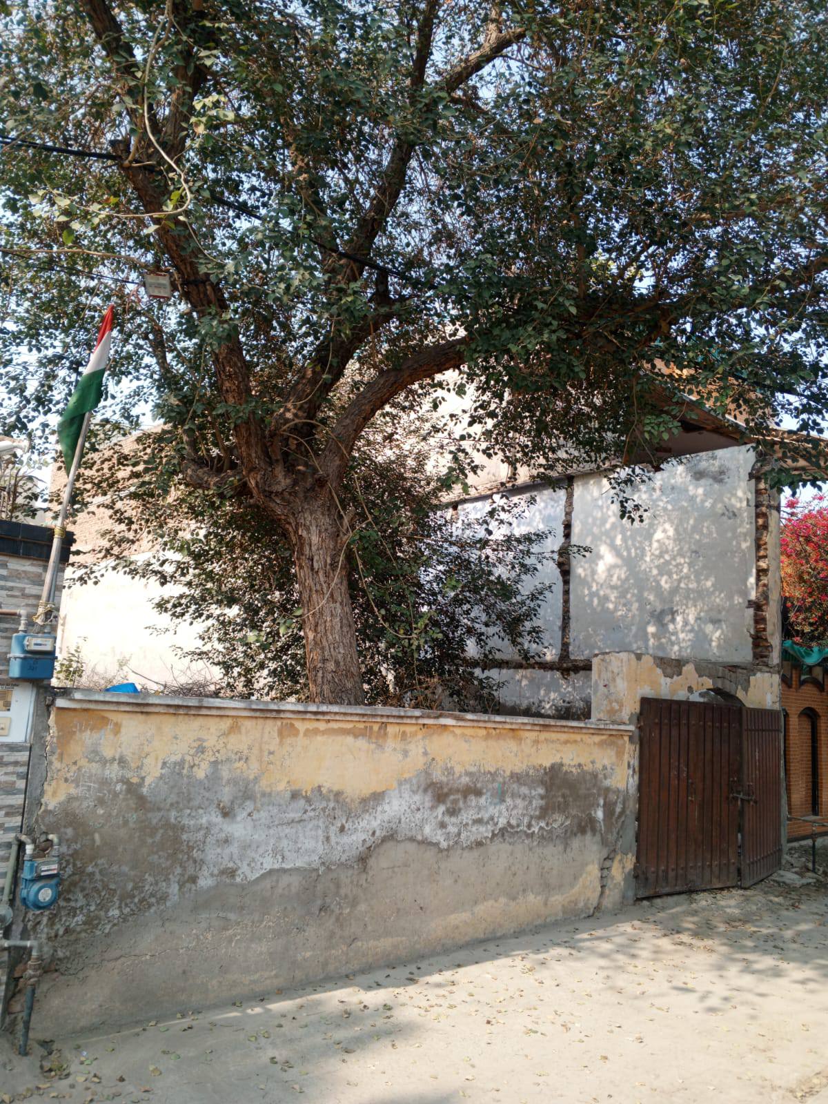 641187049_1525631559574749_7024745401256288822_n