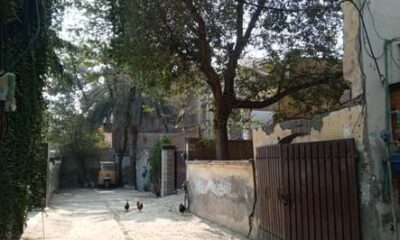 641358445_1525631329574772_738303392912730940_n