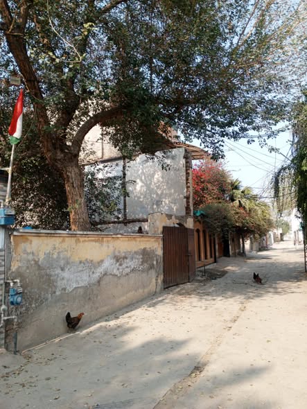 641435709_1525631282908110_8017105119916794270_n