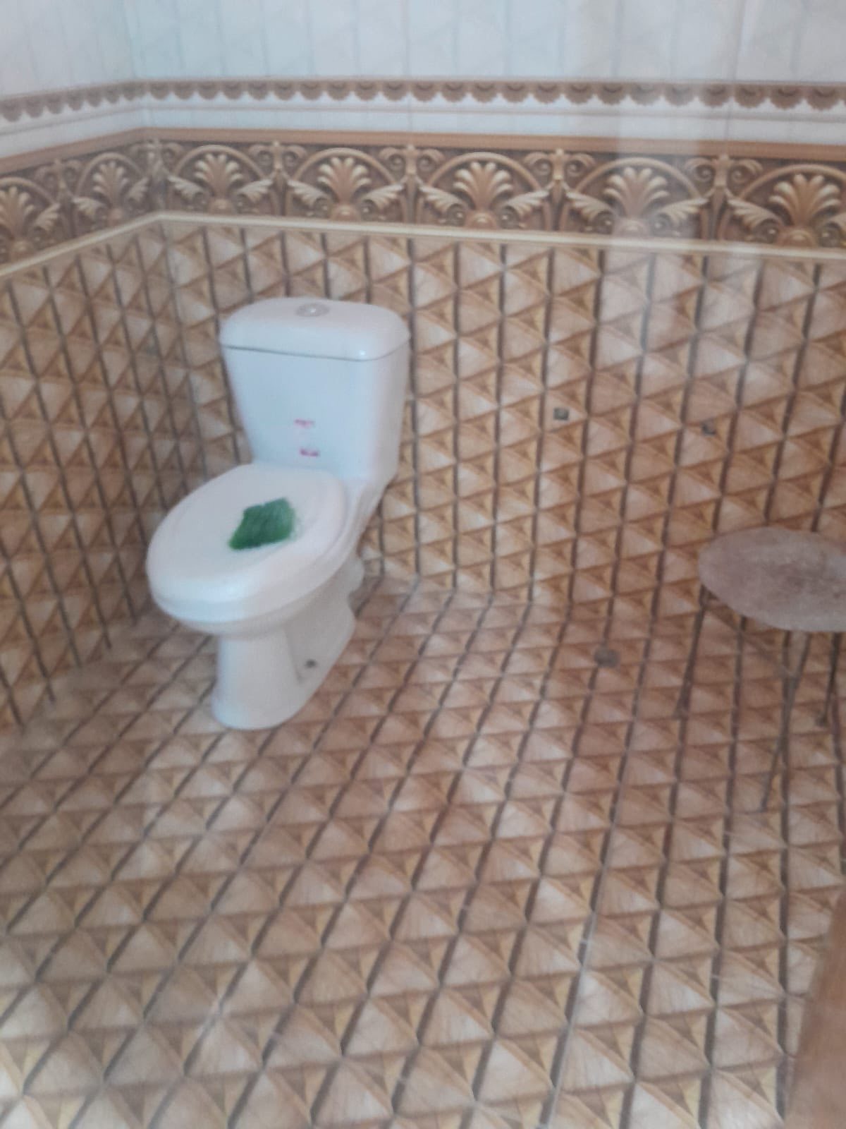 645522667_1576587846941416_2052142480517053134_n