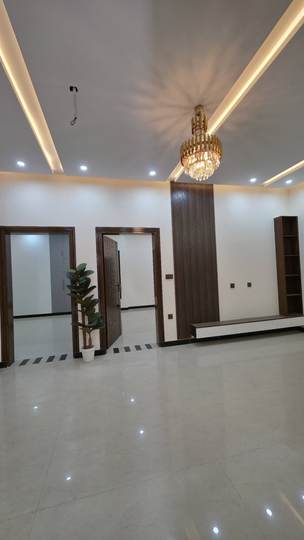 646381257_1429455092524730_1363526801824562459_n