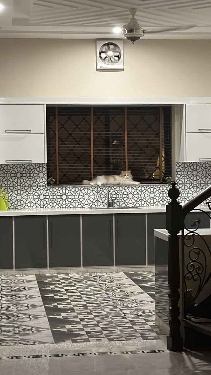 646882515_943155921436122_2579010681378984129_n