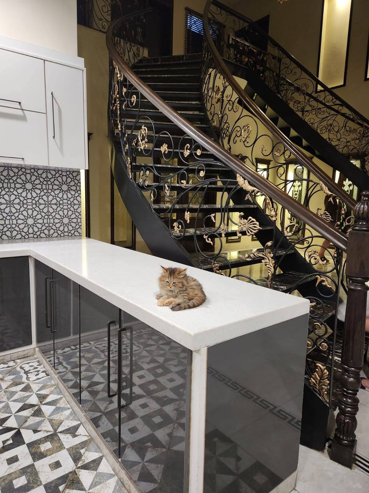 646954979_943155721436142_3905933114313884669_n