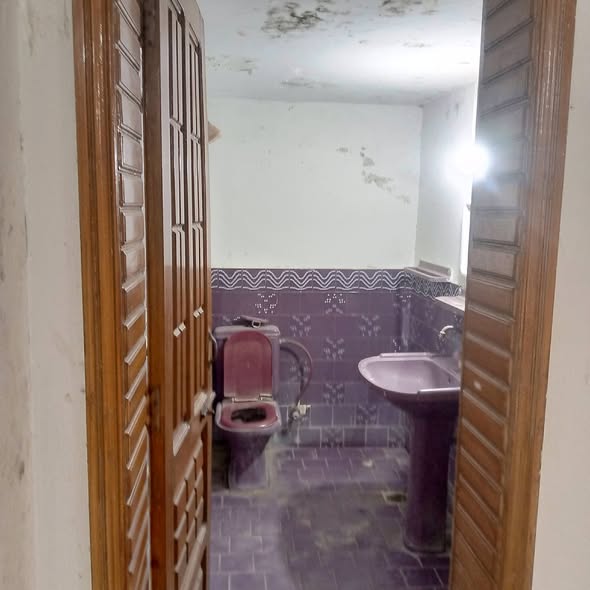 647034040_946743577851681_2649384129854526723_n