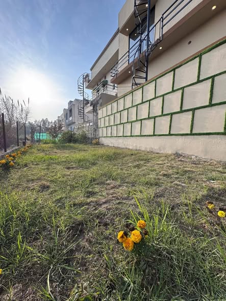 647742795_122282404970168923_1495342965067142505_n