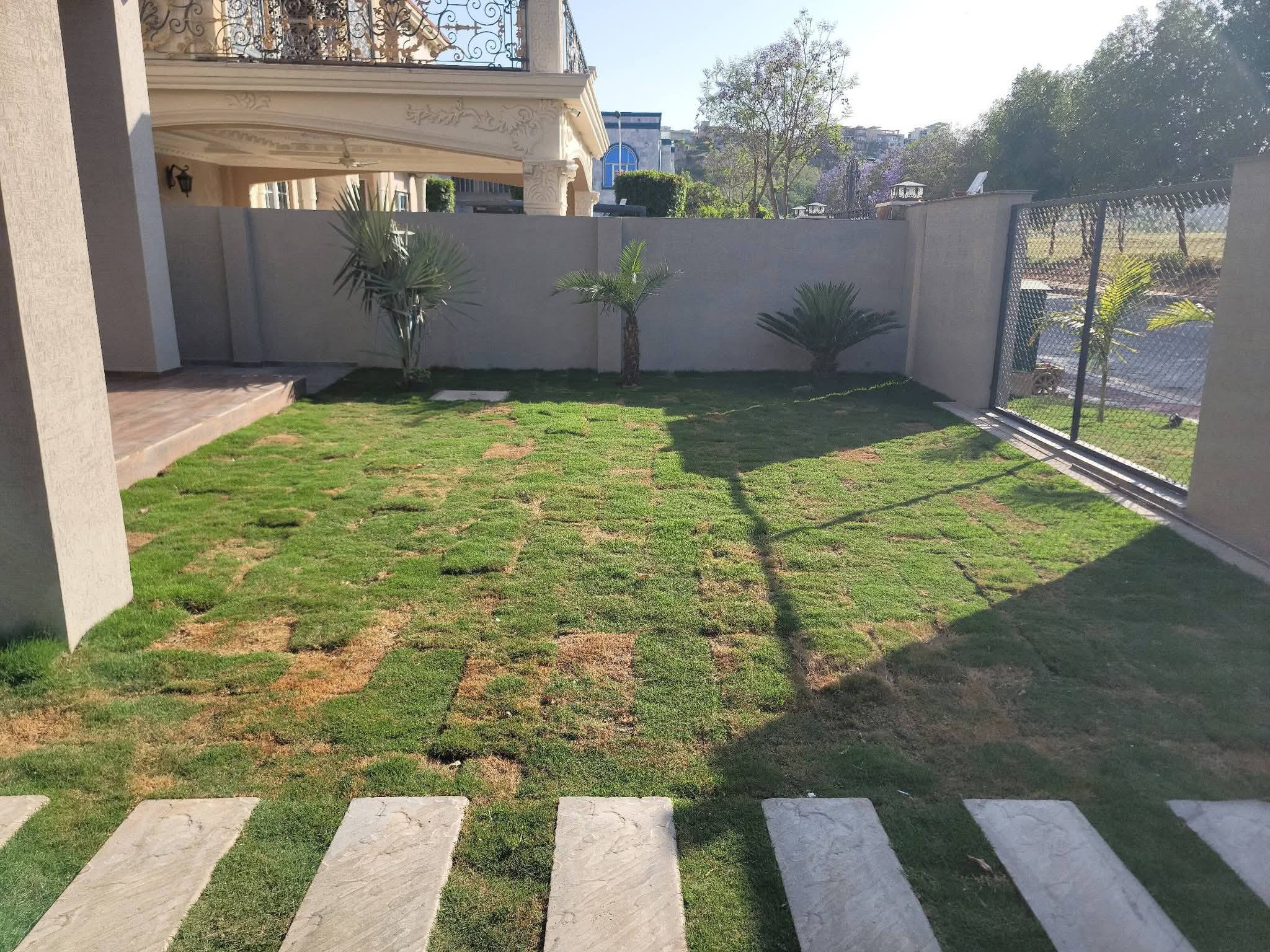 649213924_961250546855524_5505445318221501311_n