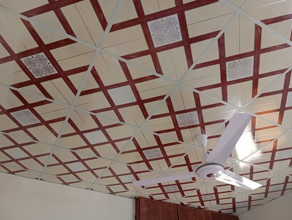 649751158_122175054014797557_6627822475065079004_n