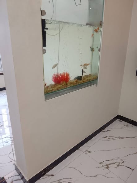 650027016_10237573108239946_4544202285463388728_n