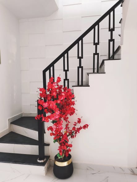 650227286_26558270940443314_4495811683119075346_n