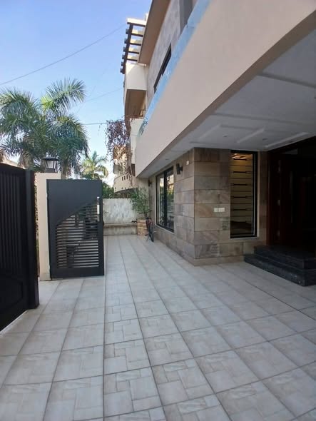 651026069_2029343907644644_6332049646827128411_n