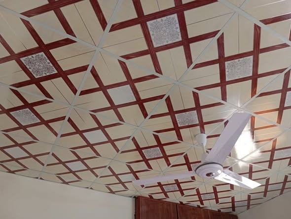 651282337_122176004708797557_4305650252855449173_n