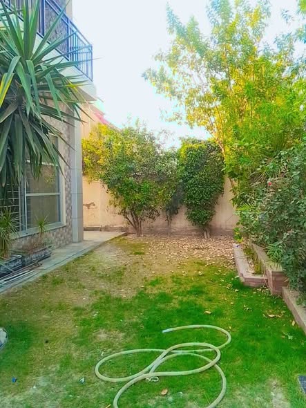 651901374_2051081645462454_5956988817865296454_n